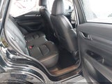 Miniaturka zdjęcia 8