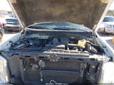 Ford F-150 Fx4/Harley-Davidson/King Ranch/Lariat/Platinum/Xl/Xlt 1FTFW1EV3AFC49569 photo