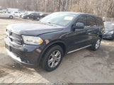 Dodge Durango Special Service 1C4RDJFG8DC684354 снимка