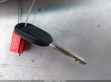 Miniaturka zdjęcia 11