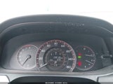 Miniaturka zdjęcia 7