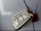 Miniaturka zdjęcia 11