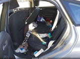 Miniaturka zdjęcia 8