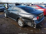 Miniaturka zdjęcia 3