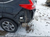 Miniaturka zdjęcia 6