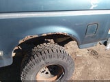 Ford Bronco U100 1FMEU15H4SLA26709 снимка