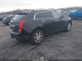 Miniaturka zdjęcia 4