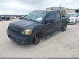 Nissan Titan Pro-4X 1N6BA0EC3AN311660 снимка