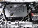 Toyota Corolla Le 5YFBU4EE3DP168557 fotografie