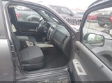 Ford Escape Xlt 1FMCU9DG6BKA69730 fotografie