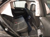 Miniaturka zdjęcia 8