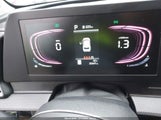 Miniaturka zdjęcia 7