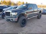 Ford F-150 Xlt 1FTFW1EF9DFA37823 снимка