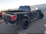 Ford F-150 Xlt 1FTFW1EF9DFA37823 снимка