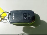 Miniaturka zdjęcia 11