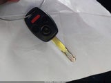 Miniaturka zdjęcia 11