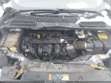 Ford Escape S 1FMCU0F76EUA18410 снимка