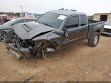 Toyota Tacoma Base V6 5TFUU4EN8EX098615 снимка
