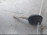 Miniaturka zdjęcia 11