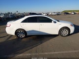 Toyota Camry Hybrid JTNBB46K083045299 fotografie