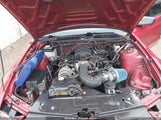 Ford Mustang V6/V6 Premium 1ZVHT80N595104310 photo