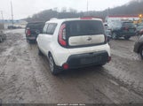 Miniaturka zdjęcia 3
