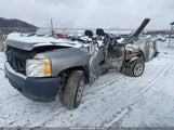 Chevrolet Silverado  Work Truck 1GCEK14C47Z531816 photo
