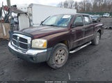 Dodge Dakota Slt 1D7HW48N35S254554 снимка