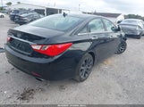 Miniaturka zdjęcia 4