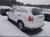 Miniaturka zdjęcia 3