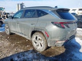 Miniaturka zdjęcia 3