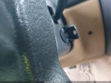 Miniaturka zdjęcia 11