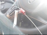 Miniaturka zdjęcia 11