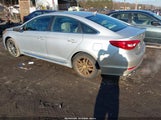 Hyundai Sonata Sport 2.0T 5NPE34AB3HH509132 photo