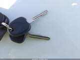 Miniaturka zdjęcia 11