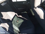 Miniaturka zdjęcia 8