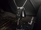 Miniaturka zdjęcia 11