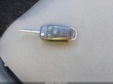Miniaturka zdjęcia 11