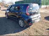 Miniaturka zdjęcia 3