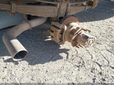 Ford F-350 Chassis 1FDRF3H62BEA30246 снимка