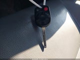 Miniaturka zdjęcia 11