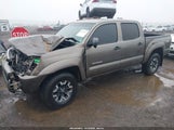 Toyota Tacoma Base V6 3TMLU4ENXAM055826 снимка