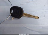 Miniaturka zdjęcia 11