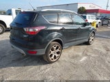 Ford Escape Titanium 1FMCU0JD4HUA18889 снимка