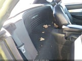 Miniaturka zdjęcia 8