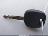 Miniaturka zdjęcia 11