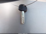 Miniaturka zdjęcia 11