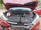 Miniaturka zdjęcia 10