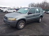 Ford Escape Xls 1FMYU02ZX5KB12931 снимка