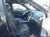 Miniaturka zdjęcia 5